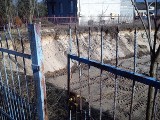 Z działki w Starachowicach nielegalnie wydobywano piach