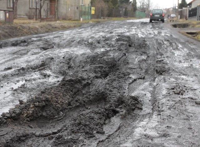 Mieszkańcy ulicy Małcużyńskiego w Radomiu toną w błocie.