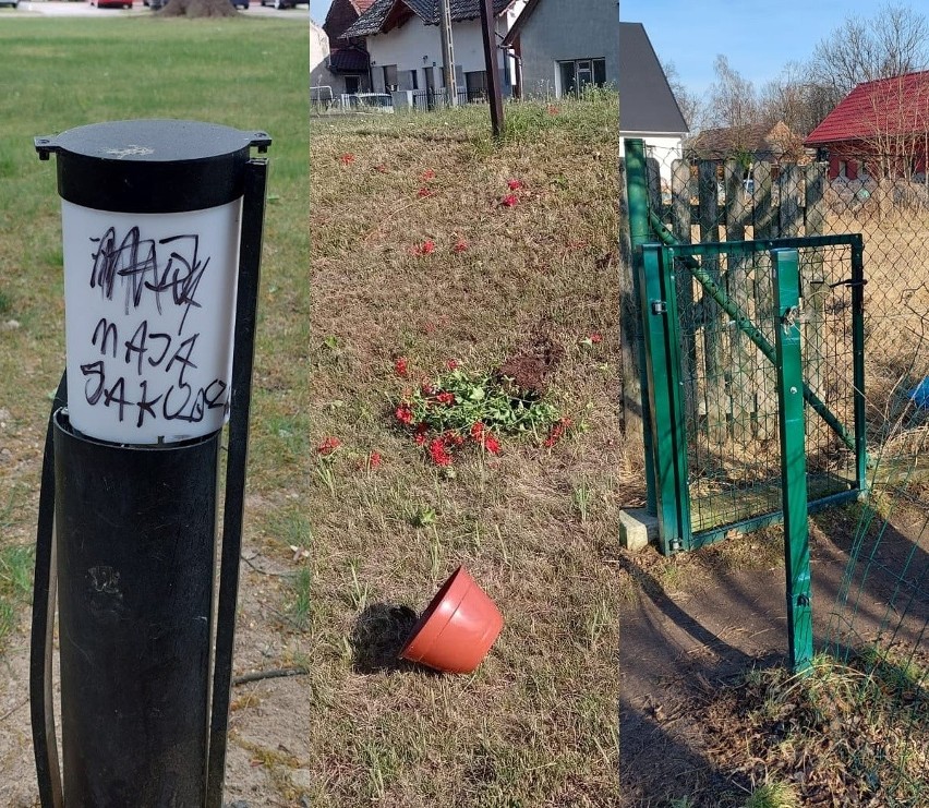 Wandale szaleją w Krośnie Odrzańskim. Samorząd wydaje duże...