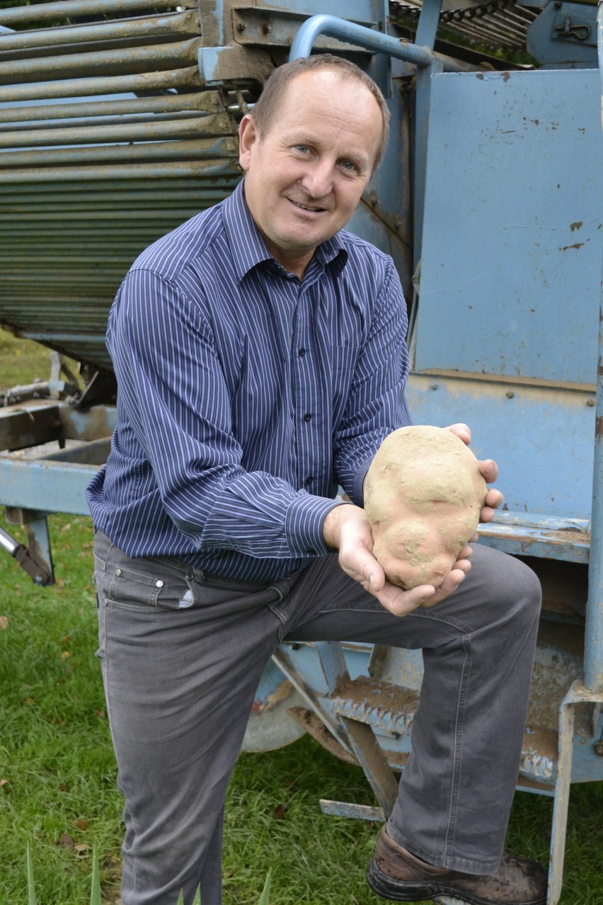 Janusz Skrzypek z rekordowym ziemniakiem