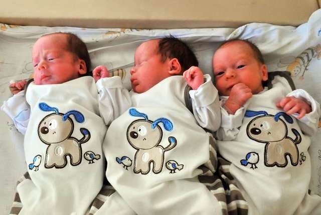 Niestety, nie każda ciąża kończy się tak szczęśliwie jak ta - na zdjęciu trojaczki, które przyszły na świat jesienią w „Bizielu”