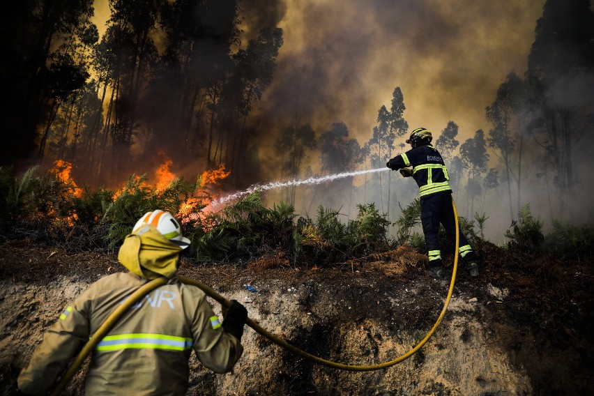 Portugalia. Lizbona zagrożona przez pożary. Ponad 400 strażaków walczy z żywiołem [GALERIA]