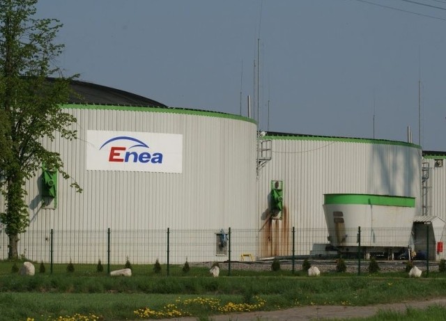 Biogazownia w Liszkowie należy do Enei, która odkupiła ją od Agrogazu