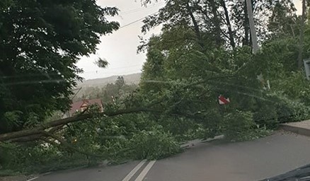 Połamane drzewa, zerwane dachy i linie energetyczne - to efekt wichury, jaka przeszła przez Małopolskę zachodnią [ZDJĘCIA]