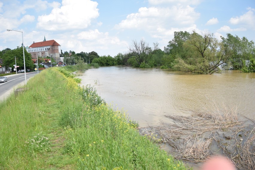 Przez Sandomierz przechodzi fala kulminacyjna na Wiśle. Zobacz zdjęcia 