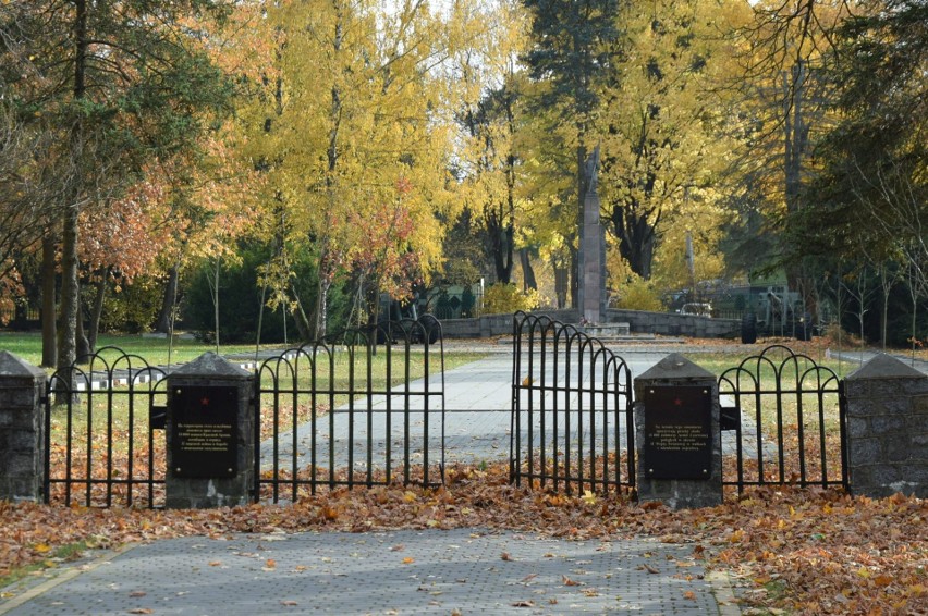 Cmentarz żołnierzy radzieckich w Ostrołęce Wojciechowicach. Zdjęcia 