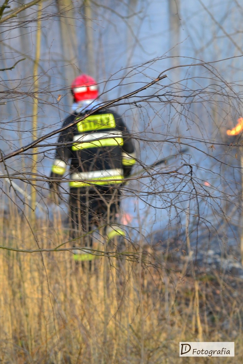 Pożar na Stawikach od strony Mysłowic [ZDJĘCIA]