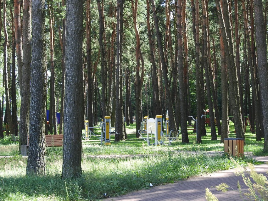 Wypoczynek na Dojlidach. Sobota, 25 lipca.