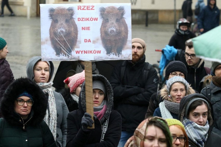 Manifestacja w obronie dzików - Wrocław