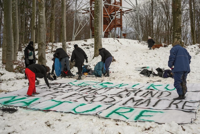 "Wilczyce" mieszkają w lesie i blokują wycinkę drzew w Bieszczadach [ZDJĘCIA]