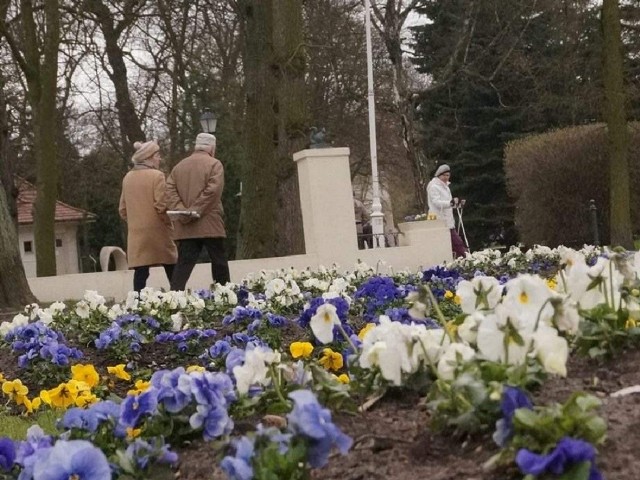 W ogrodzie, na rybach i na oficjalnych uroczystościach majówkę spędzają VIP-y z powiatu inowrocławskiego. A przewodniczący Tomasz Marcinkowski zachęca do spacerów po Solankach.