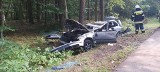 Wypadek na drodze wojewódzkiej nr 209 niedaleko Korzybia (zdjęcia)