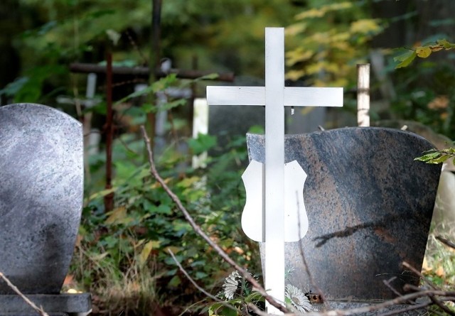 Władze Szczecina chcą powiększyć cmentarz w Wielgowie, bo brakuje miejsca na nowe pochówki