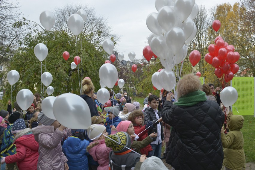 Balony z życzeniami dla Polski [zdjęcia]       