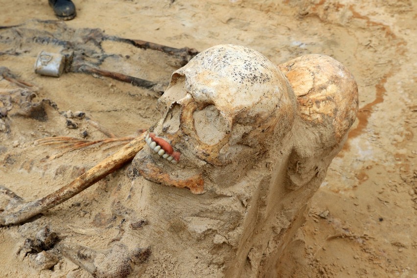 Znalezione szczątki zostały ekshumowane i przeniesione na...