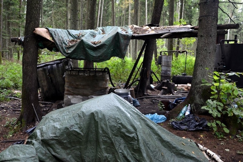 Funkcjonariusze podlaskiej KAS zlikwidowali nielegalną bimbrownię w lesie koło Gródka. Zabezpieczono ponad 150 litrów alkoholu [ZDJĘCIA]