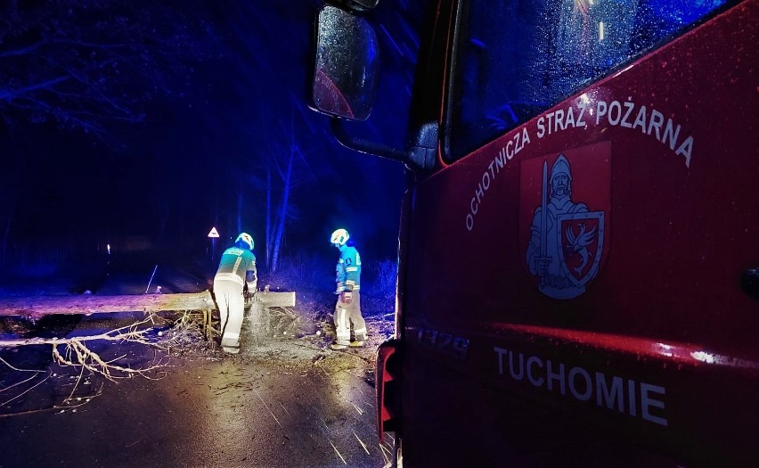 W nocy mocno powiało w powiecie bytowskim. Strażacy usuwali powalone drzewo na trasie Zagony - Wądół 