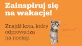 Zainspiruj się na wakacje na Lubuskich Szlakach. Znajdź kota, który odprowadza na nocleg!