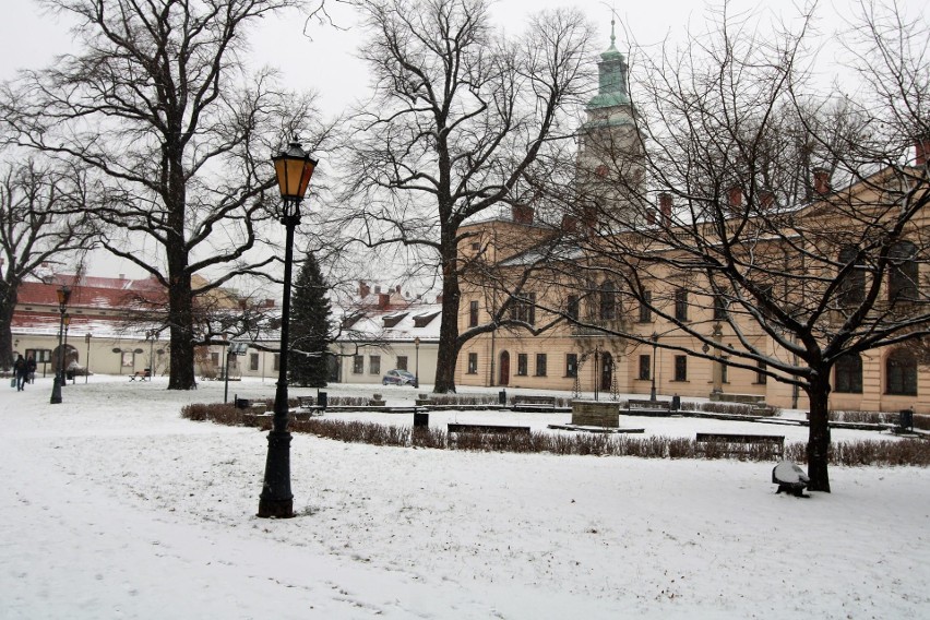 Park Habsburgów w Żywcu zimą. Warto wybrać się tutaj na...