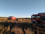 Wypadek samolotu w Zegrzu Pomorskim