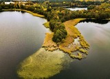 Piękna, złota polska jesień w okolicach Bornego Sulinowa [zdjęcia z drona]