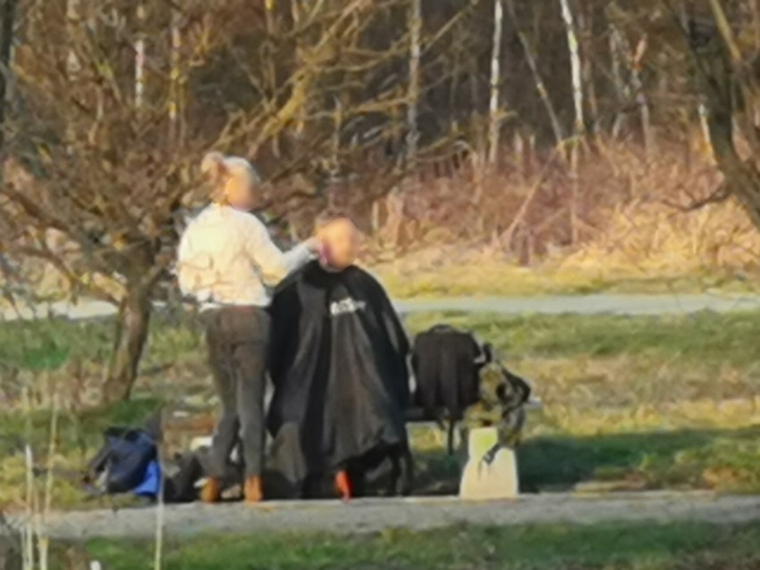Fryzjerka z Częstochowy ostrzygła klienta na ławce w parku