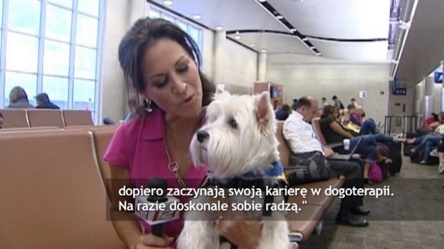Psy pomagają zestresowanym pasażerom lotniska w San Antonio