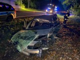 Wypadek pod Bydgoszczą. Świadkowie: "Kierowca z ranami głowy uciekł do lasu". Jego poszukiwania trwają
