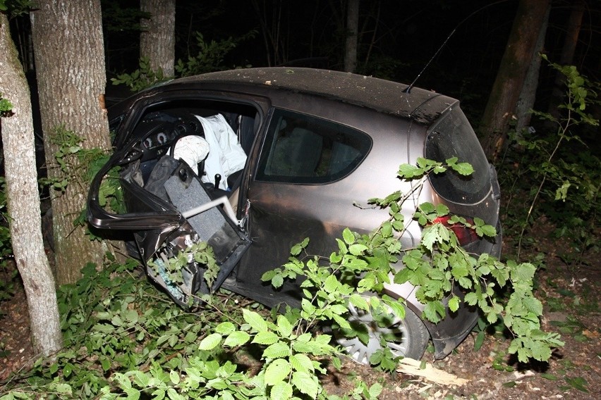 Białowieża. Wypadek mitsubishi. Kierowca nie miał zapiętych pasów (zdjęcia)