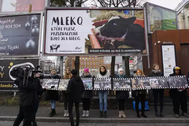 Na placu Wiosny Ludów w Poznaniu pojawił się nowy billboard - to element akcji Białe Kłamstwa, organizowanej przez fundację Viva! Akcja dla zwierząt. W niedzielę pod billboardem można było otrzymać ulotkę, w której członkowie akcji opisali, jak według ich wiedzy wygląda proces produkcji mleka w Polsce.Zobacz więcej zdjęć -----> 
