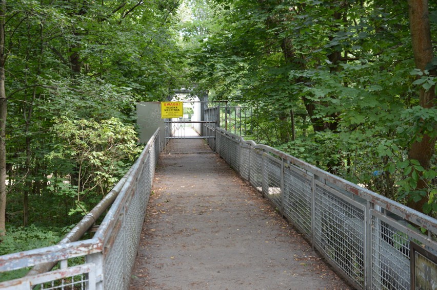 Uszkodzony most na Bobrze w żagańskim parku