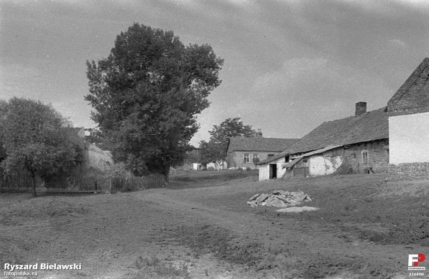 9 września 1954 , Skorocice, fragment wsi