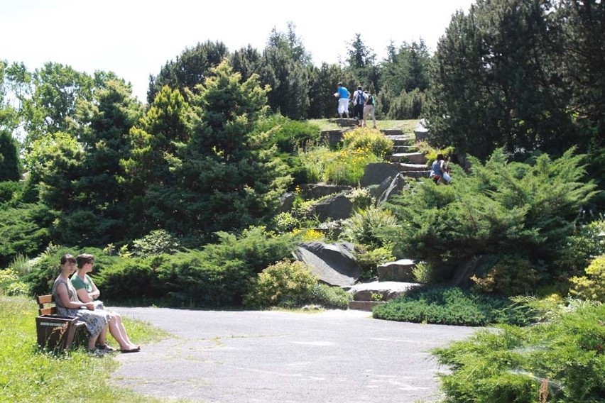 Ogród Botaniczny w Łodzi kwitnie już 40 lat [ZDJĘCIA]