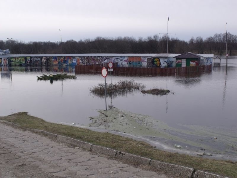 Narew 10.02.2011