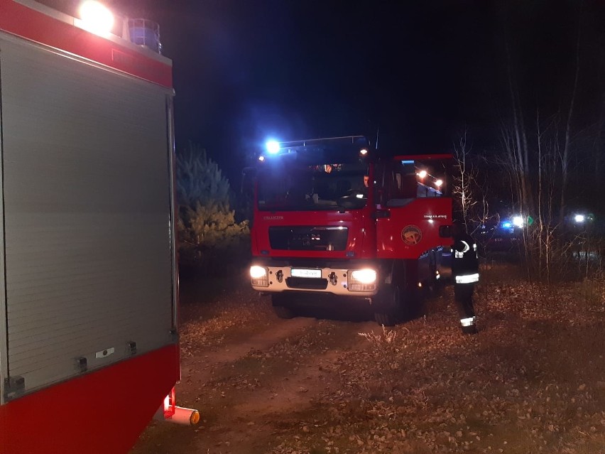 Pożar lasu we Wronowie. Z ogniem walczyło 11 zastępów strażaków. Zobacz zdjęcia