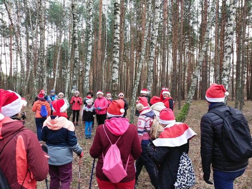 Mikołajkowy Rajd Nordic Walking w Puszczy Kozienickiej. Uczestnicy byli bardzo zadowoleni. Zobacz zdjęcia