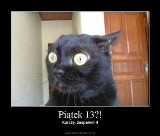 Oto najlepsze i najśmieszniejsze memy na piątek trzynastego. Czarny kot na cenzurowanym? Jaki będzie dla Was 13 stycznia 2023?