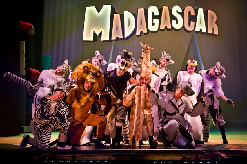 "Madagascar musicalowa przygoda" to znakomita zabawa dla...