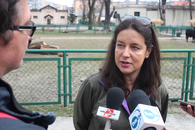 Ewa Zgrabczyńska zaznacza, że kotom nie działa się krzywda, to nie one były ofiarami całej sytuacji.
