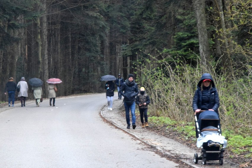 Majówka w Górach Świętokrzyskich. Nie wszyscy turyści przestraszyli się chłodnej aury