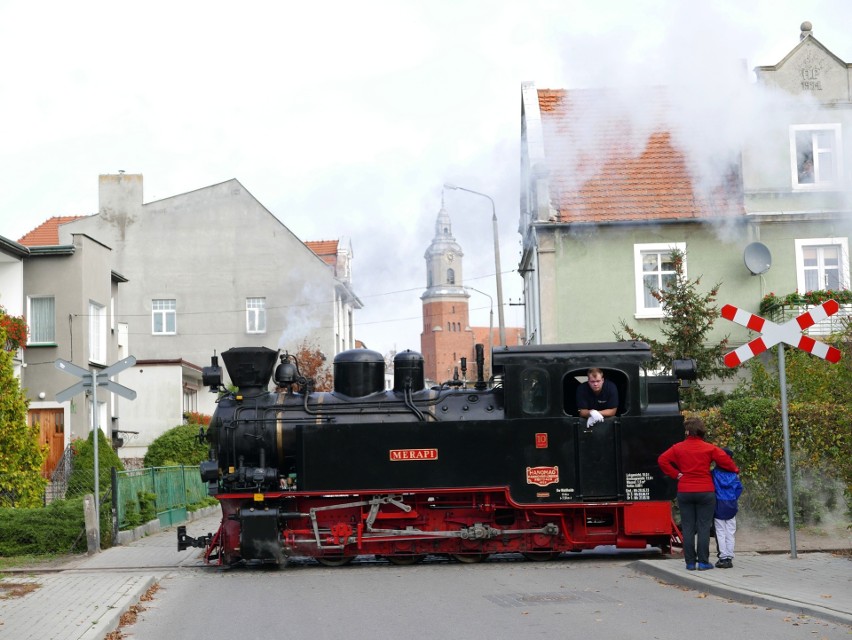 Parada parowozów w parku nad żnińskim jeziorem [zdjęcia, wideo] 