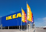 IKEA wraz z Fundacją Ocalenie wystartowały ze stażowym projektem dla uchodźców i uchodźczyń. Pracę na pół roku znajdzie 10 osób