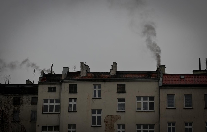 - Źródłem zanieczyszczeń jest palenie byle czym w...