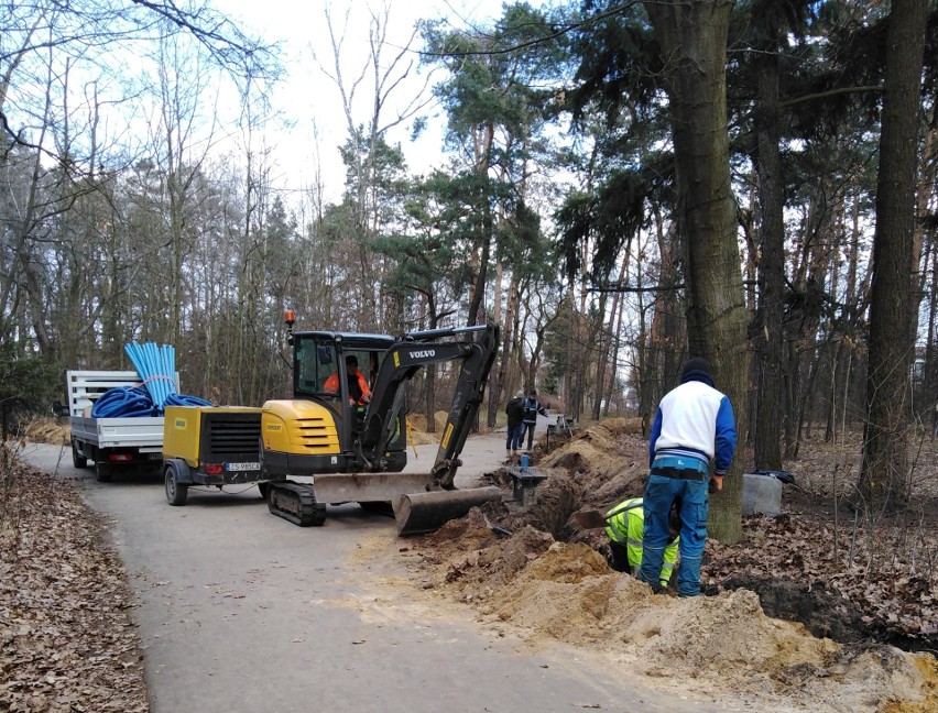 Nowe oświetlenie w Parku Wolności w Pabianicach. Prace już ruszyły ZDJĘCIA