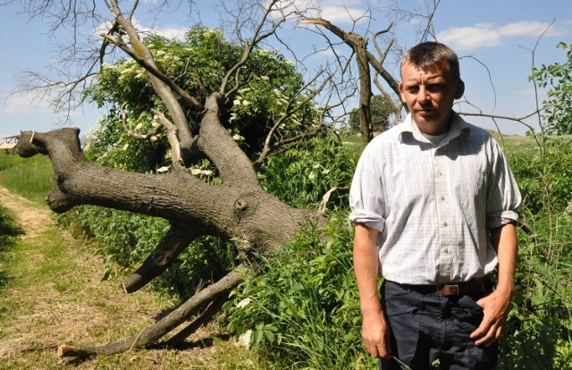 Drzewa, które w styczniu wycięto koło mojego domu w Komorznie, dalej tutaj leżą - mówi Adam Ulbrych.