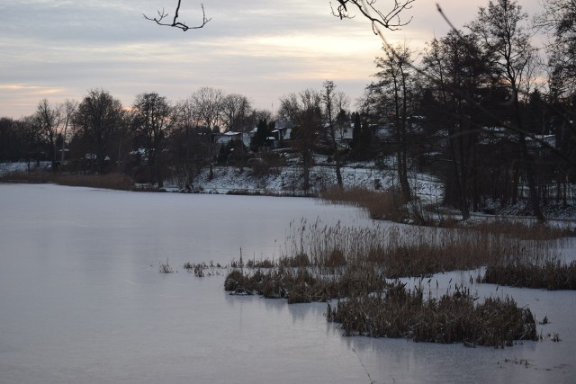 Zimowy spacer w Parku Rodzinnym nad Jeziorem Kaplicznym w Kościerzynie
