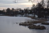 Zimowy spacer na Pomorzu. Wybierz się do Parku Rodzinnego nad Jeziorem Kaplicznym w Kościerzynie. Jest pięknie! ZOBACZ ZDJĘCIA