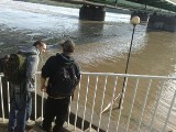 Powódź w Polsce. Fala kulminacyjna w Warszawie (zdjęcia, raport)