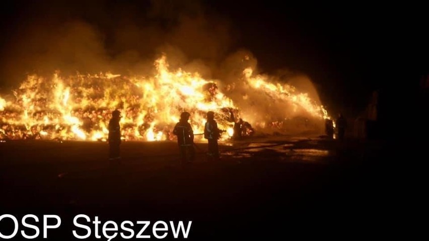 Około 500 balotów słomy spłonęło w pożarze, który wybuchł w...
