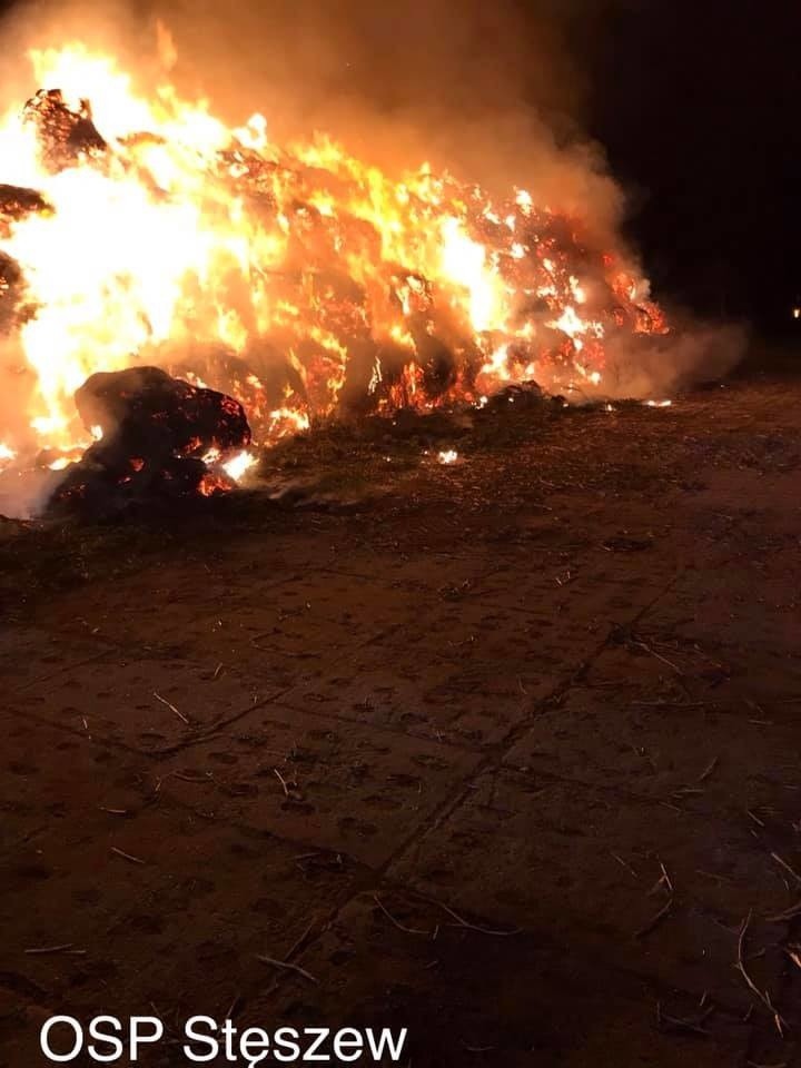 Około 500 balotów słomy spłonęło w pożarze, który wybuchł w...